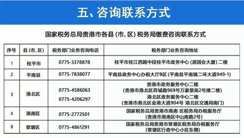 春節不打烊 基本養老保險與醫療保險繳費服務陪伴您安心過大年——項目策劃與公關服務全攻略